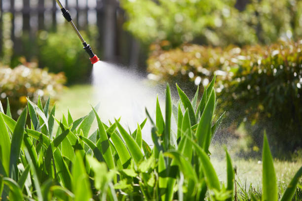 Tamper-Resistant Bait Stations for Rodents in Cornersville