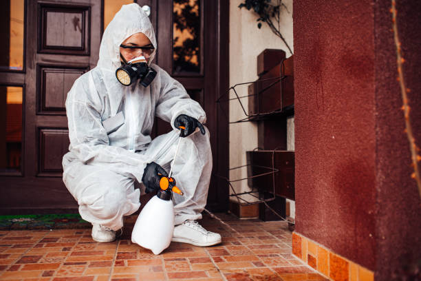 Attic and Crawl Space Rodent Treatment in Cornersville