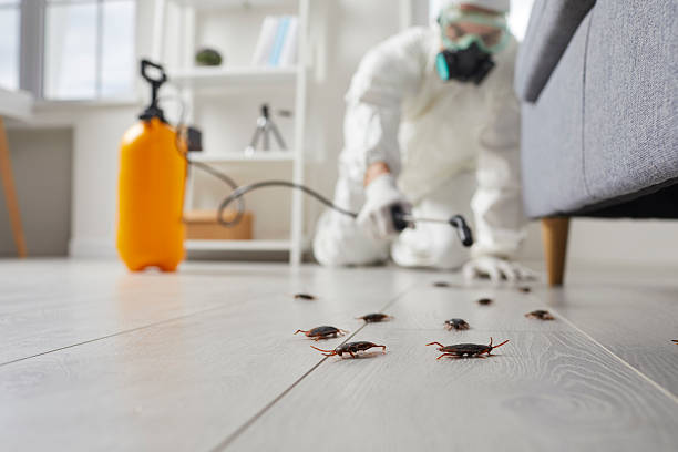 Commercial Rodent Management in Cornersville